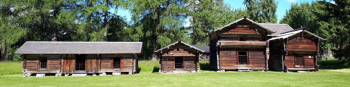 Pielisen museon ulkomuseoalueen rakennuksia kesällä