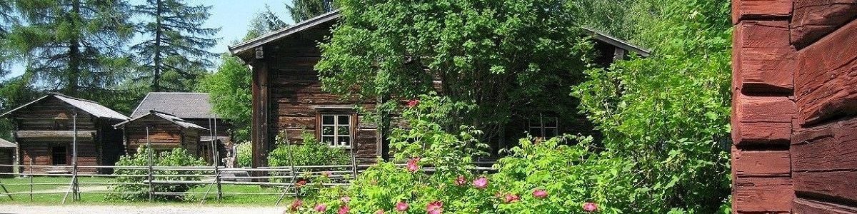 Pielisen museon ulkorakennuksia kesällä