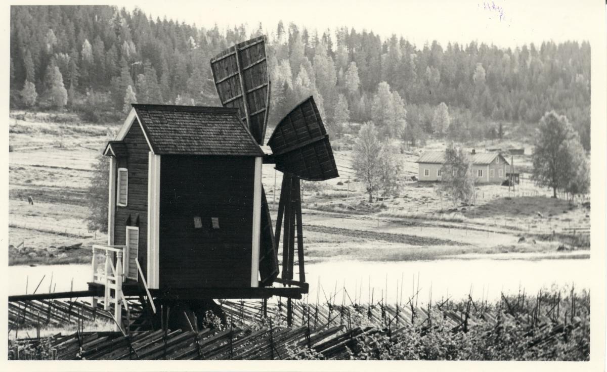 Mustavalkoinen kuva Viensuun tuulimyllystä