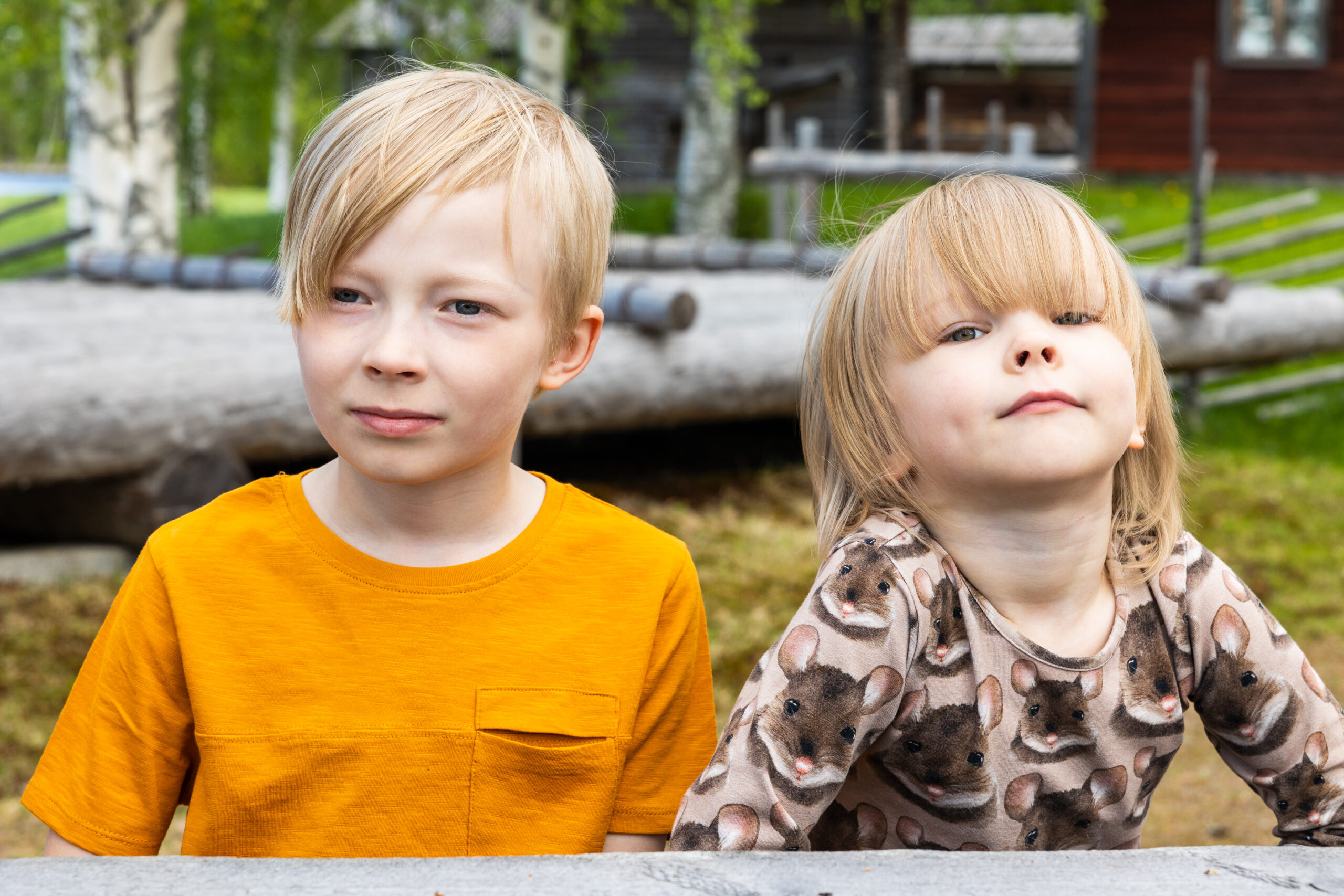 Lapset vieailemassa Pielisen museon alueella