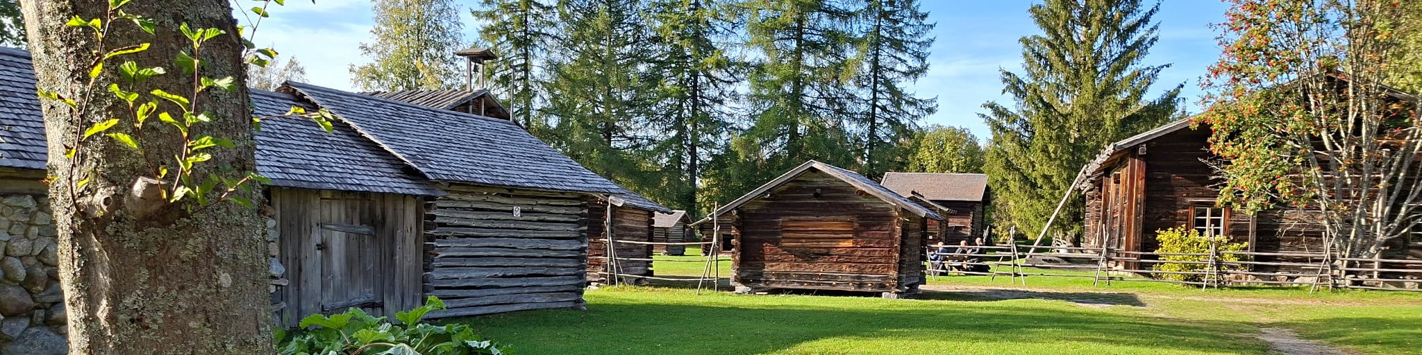 Pielisen museon ulkomuseoaluetta kesällä