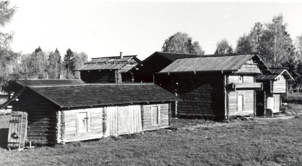 Mustavalkoinen kuva Pielisen museon ulkoalueesta