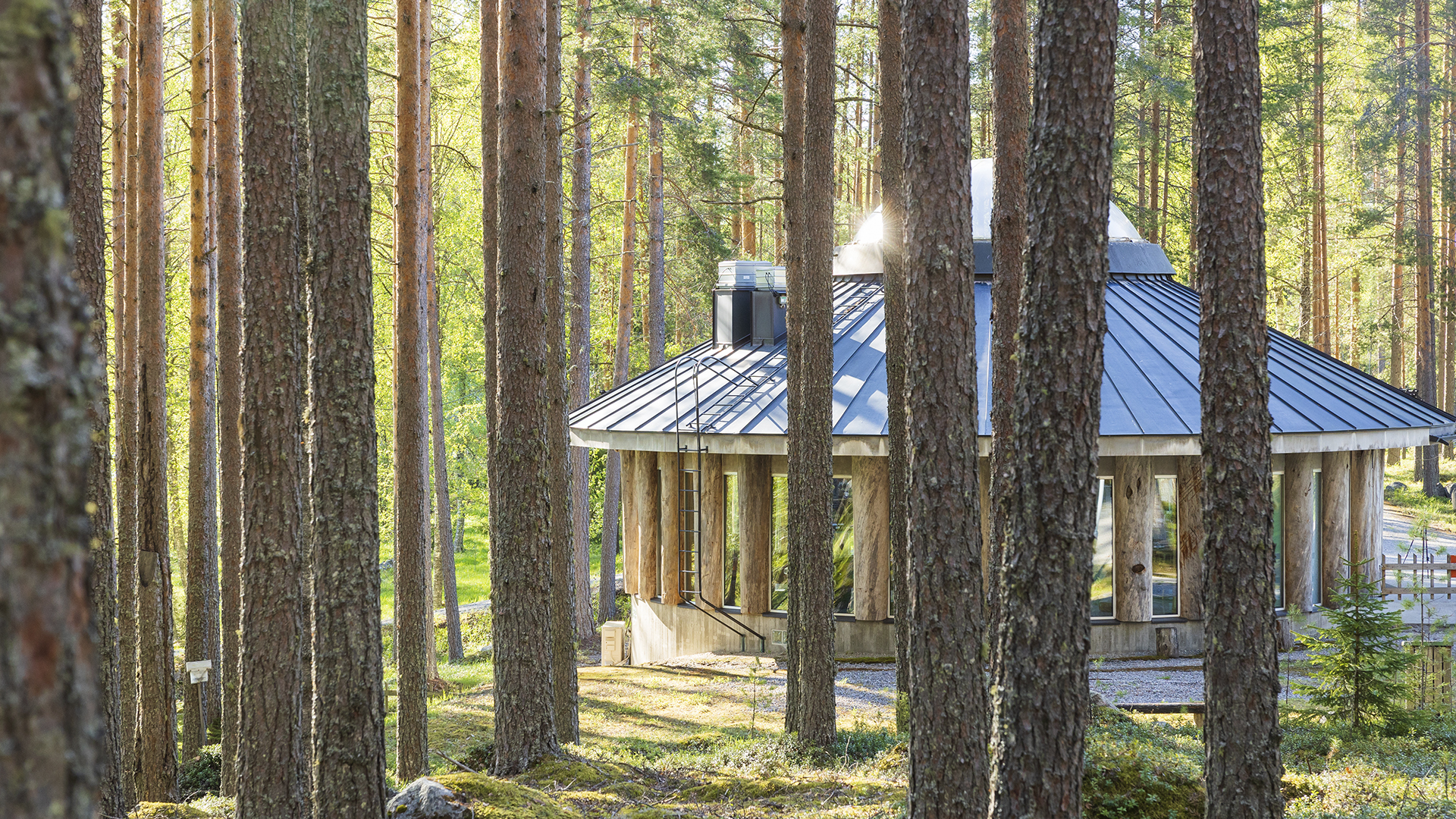 Paaterin kahvila kuvattuna mäntymetsän läpi